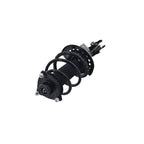 Suspension Strut and Coil Spring Assembly LS34-86211R