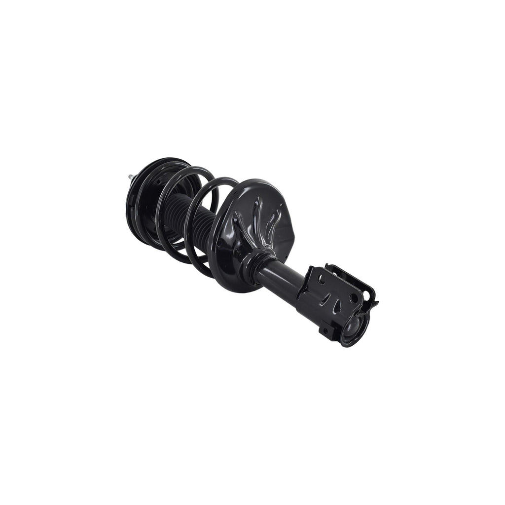 Suspension Strut and Coil Spring Assembly LS34-86241L