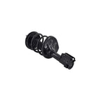 Suspension Strut and Coil Spring Assembly LS34-86241L