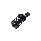 Suspension Strut and Coil Spring Assembly LS34-86241L