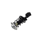 Suspension Strut and Coil Spring Assembly LS34-86251B
