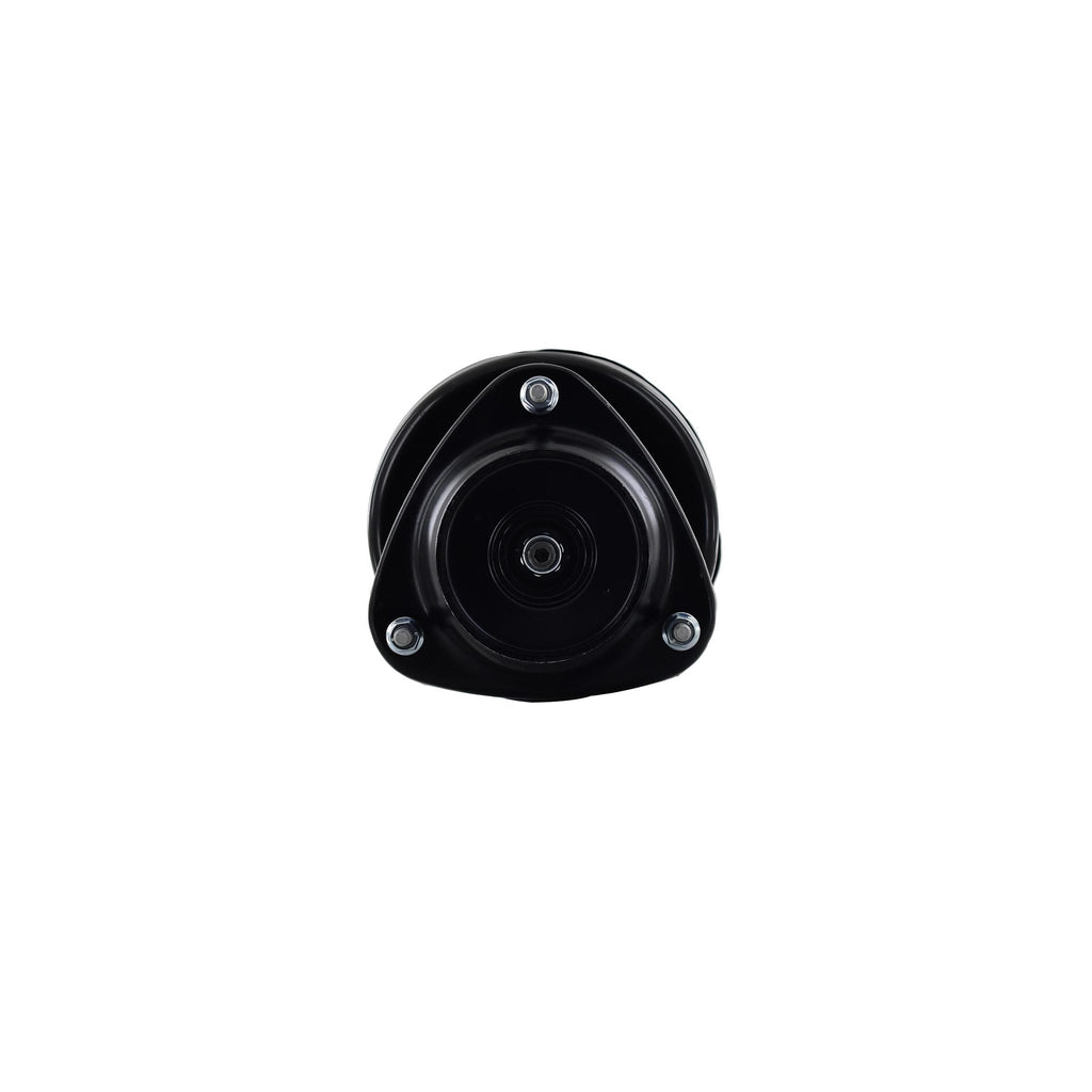 Suspension Strut and Coil Spring Assembly LS34-86261L
