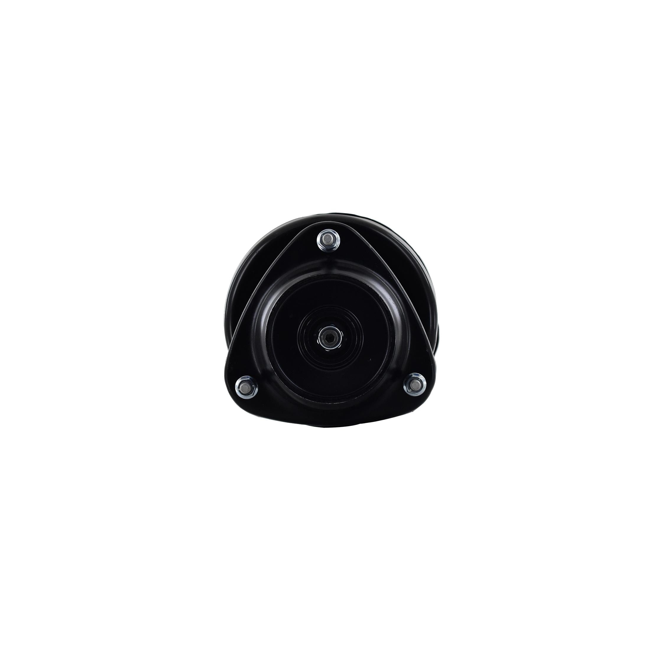 Suspension Strut and Coil Spring Assembly LS34-86261L