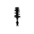 Suspension Strut and Coil Spring Assembly LS34-86261R