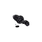Suspension Strut and Coil Spring Assembly LS34-86271R