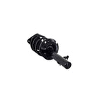 Suspension Strut and Coil Spring Assembly LS34-86281R