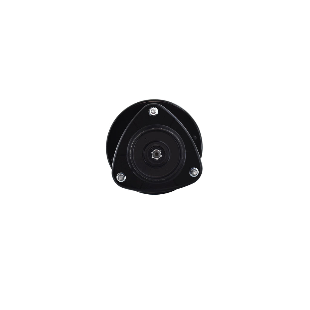 Suspension Strut and Coil Spring Assembly LS34-86301L