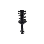 Suspension Strut and Coil Spring Assembly LS34-86301R
