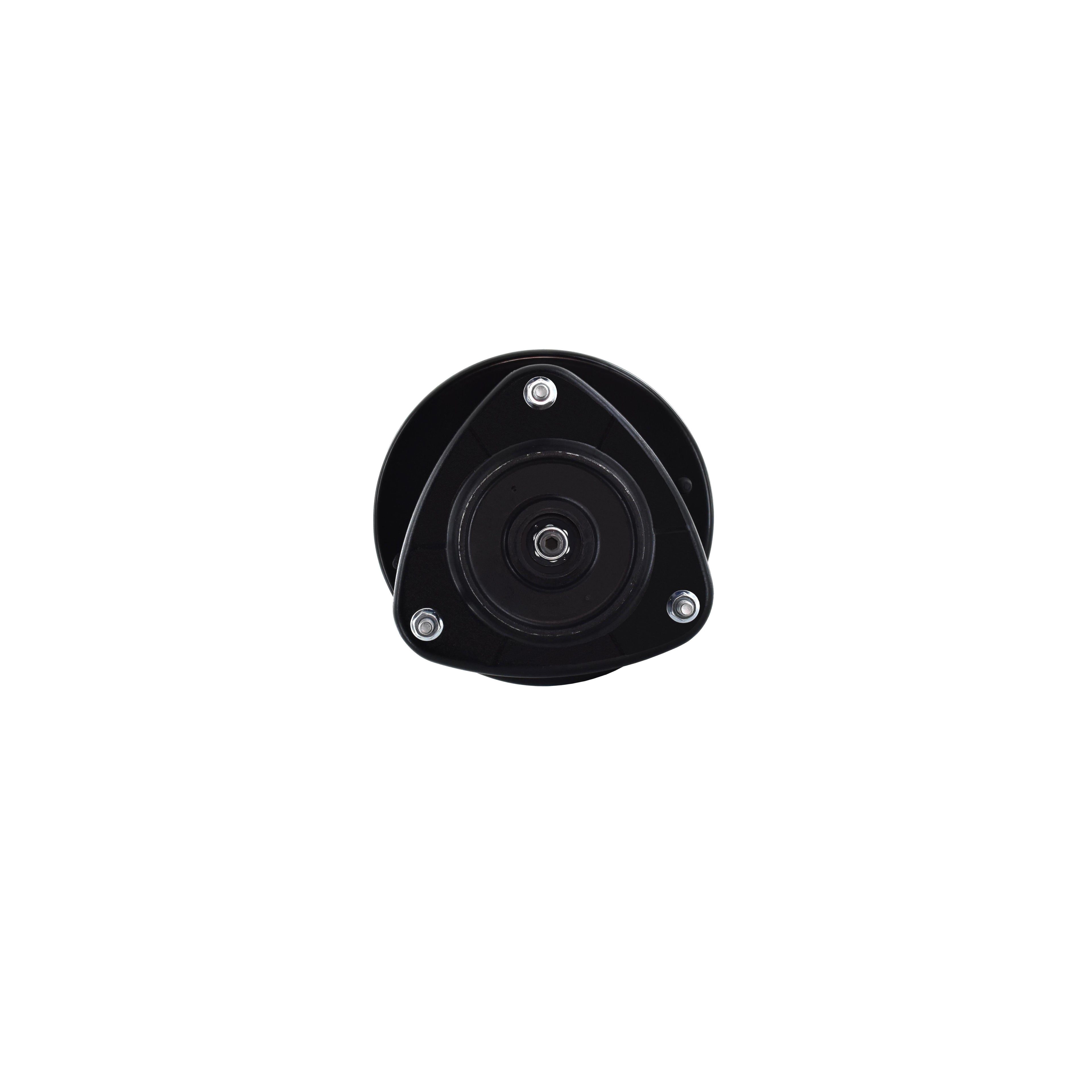 Suspension Strut and Coil Spring Assembly LS34-86301R