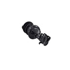 Suspension Strut and Coil Spring Assembly LS34-86301R