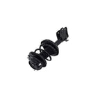 Suspension Strut and Coil Spring Assembly LS34-86301R