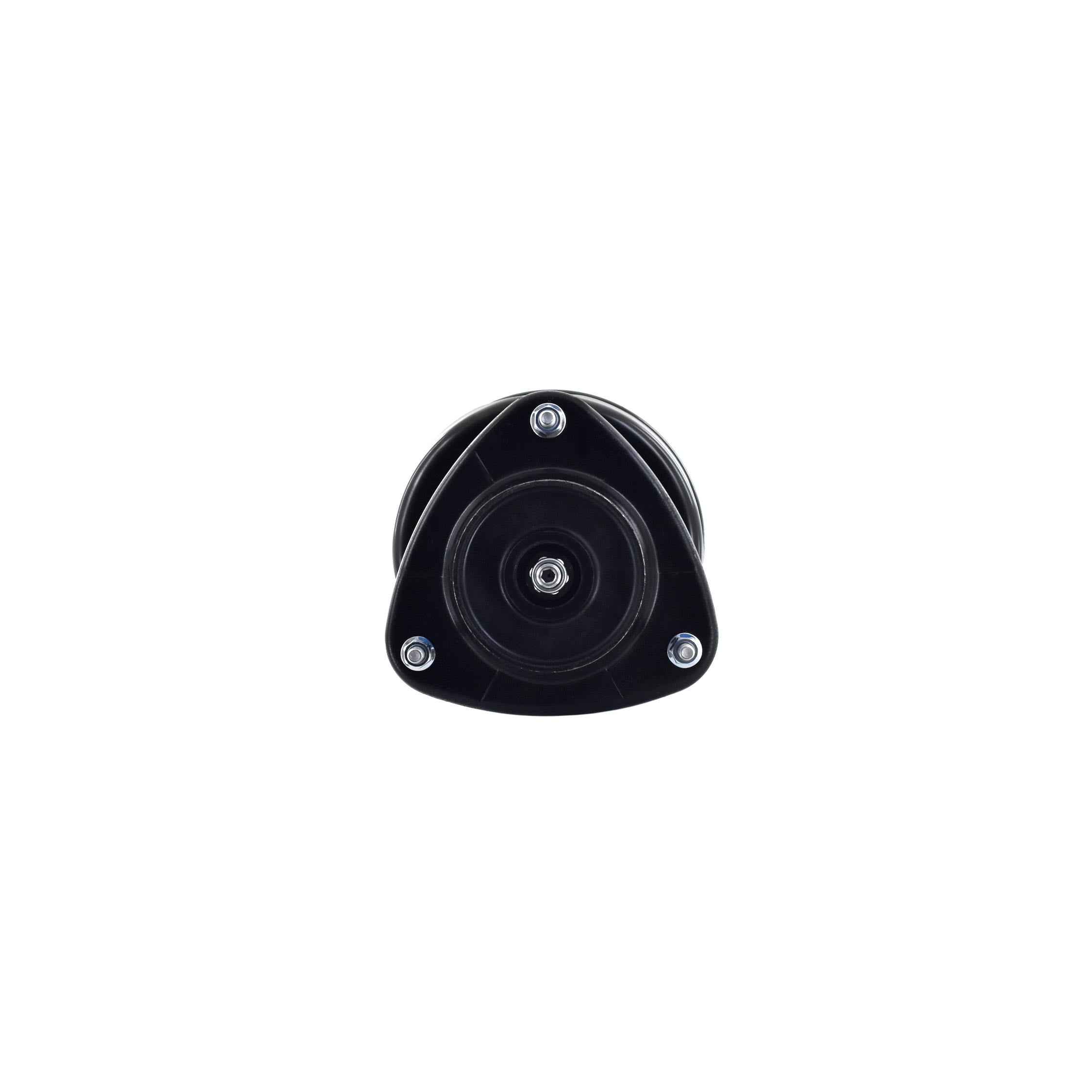Suspension Strut and Coil Spring Assembly LS34-86321L