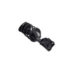 Suspension Strut and Coil Spring Assembly LS34-86321L