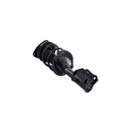 Suspension Strut and Coil Spring Assembly LS34-86331L