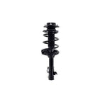Suspension Strut and Coil Spring Assembly LS34-86331R
