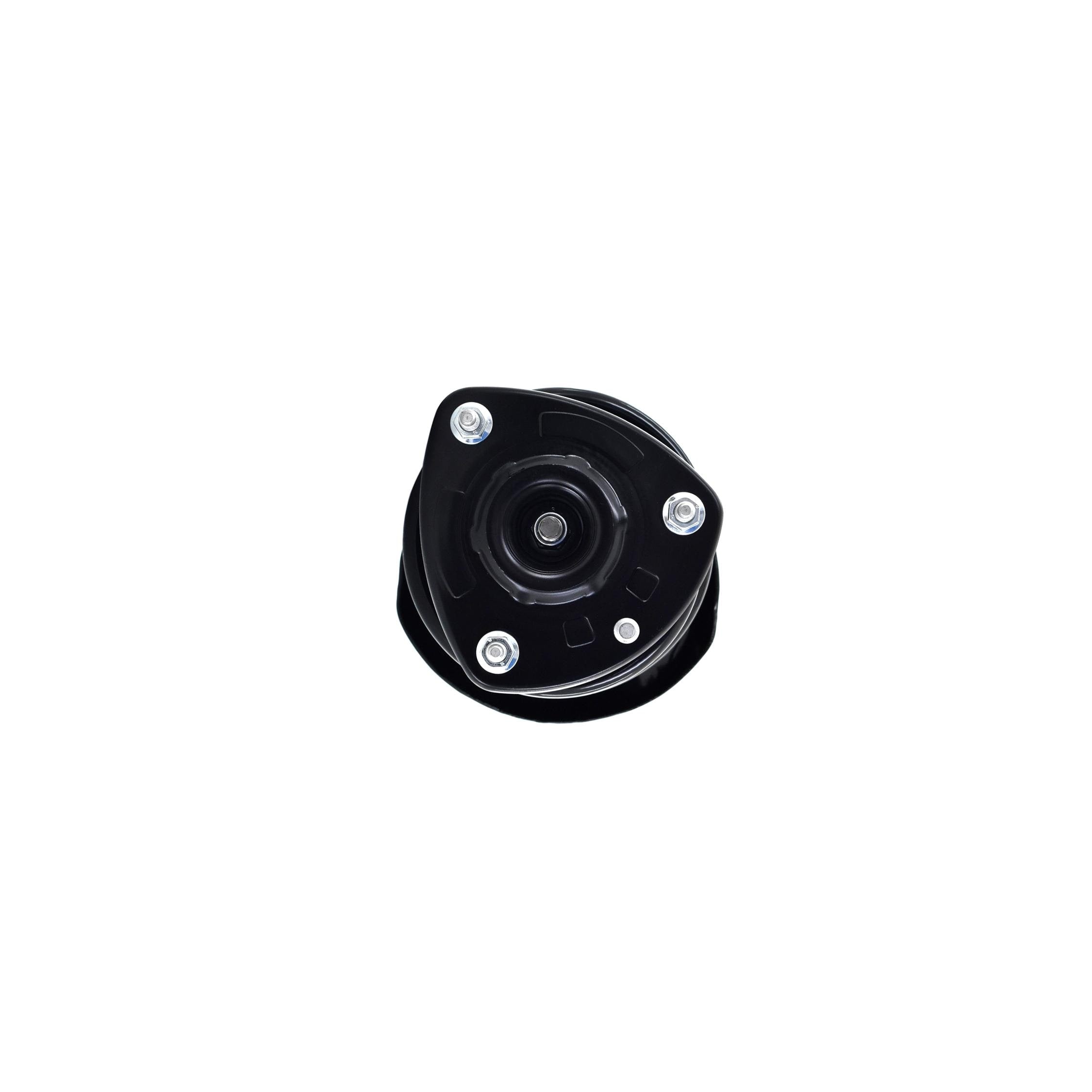 Suspension Strut and Coil Spring Assembly LS34-86351L