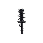 Suspension Strut and Coil Spring Assembly LS34-86351R