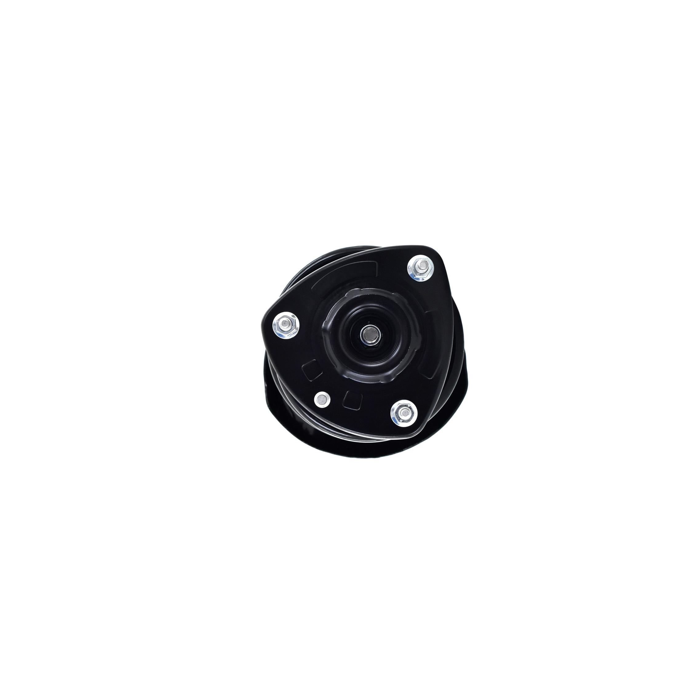 Suspension Strut and Coil Spring Assembly LS34-86351R