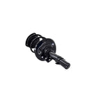 Suspension Strut and Coil Spring Assembly LS34-86351R