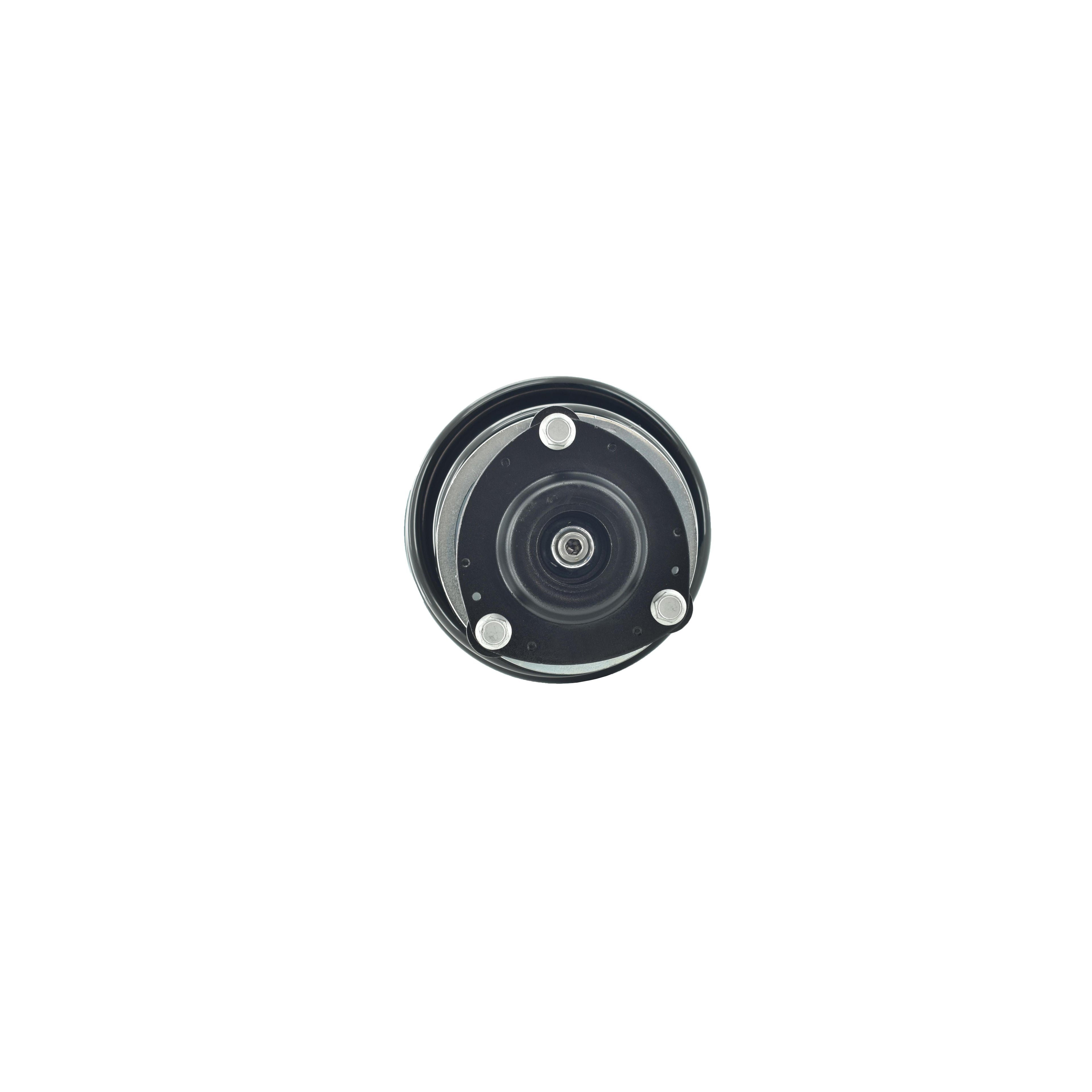 Strut Assembly LS34-86361B