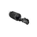 Strut Assembly LS34-86361B