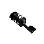 Strut Assembly LS34-86371L