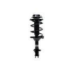 Strut Assembly LS34-86371R