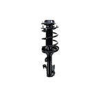 Strut Assembly LS34-86391L