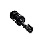 Strut Assembly LS34-86391L