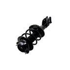 Strut Assembly LS34-86391L