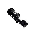 Suspension Strut and Coil Spring Assembly LS34-86391R