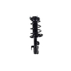 Suspension Strut and Coil Spring Assembly LS34-86401L