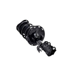 Suspension Strut and Coil Spring Assembly LS34-86401R