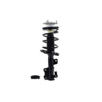 Suspension Strut and Coil Spring Assembly LS34-86411R