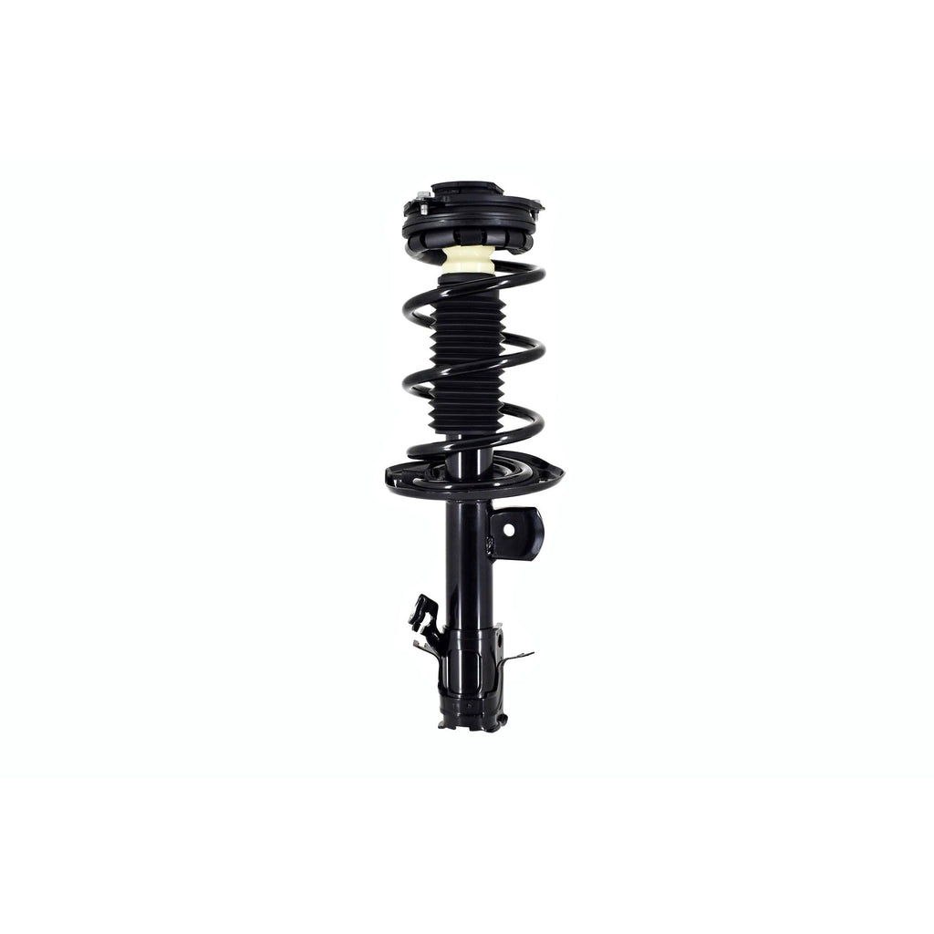 Suspension Strut and Coil Spring Assembly LS34-86431R