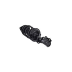 Suspension Strut and Coil Spring Assembly LS34-86461L