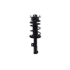 Suspension Strut and Coil Spring Assembly LS34-86461R
