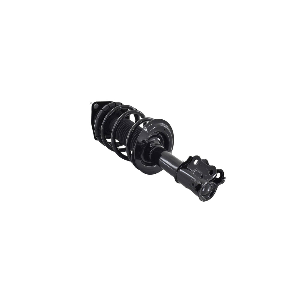 Suspension Strut and Coil Spring Assembly LS34-86461R