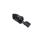 Suspension Strut and Coil Spring Assembly LS34-86461R