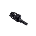 Suspension Strut and Coil Spring Assembly LS34-86471L