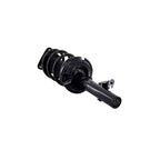 Suspension Strut and Coil Spring Assembly LS34-86471R