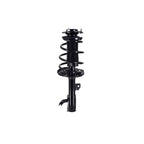 Suspension Strut and Coil Spring Assembly LS34-86561R