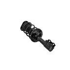 Suspension Strut and Coil Spring Assembly LS34-86571R