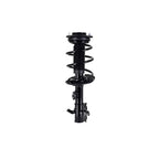 Suspension Strut and Coil Spring Assembly LS34-86591L