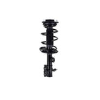 Suspension Strut and Coil Spring Assembly LS34-86591R