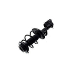 Suspension Strut and Coil Spring Assembly LS34-86591R