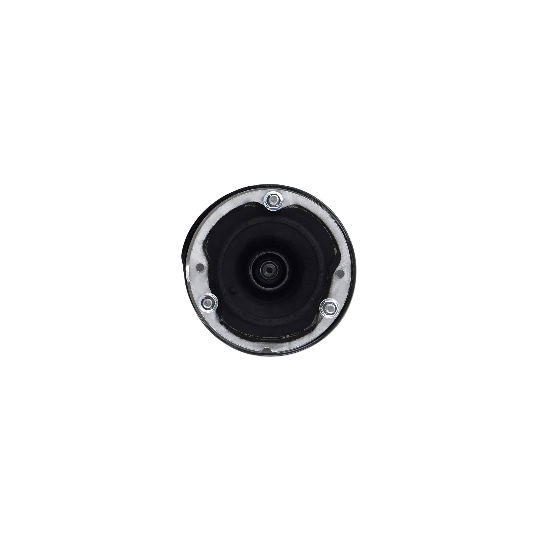 Suspension Strut and Coil Spring Assembly LS34-86621R