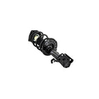 Suspension Strut and Coil Spring Assembly LS34-86641L
