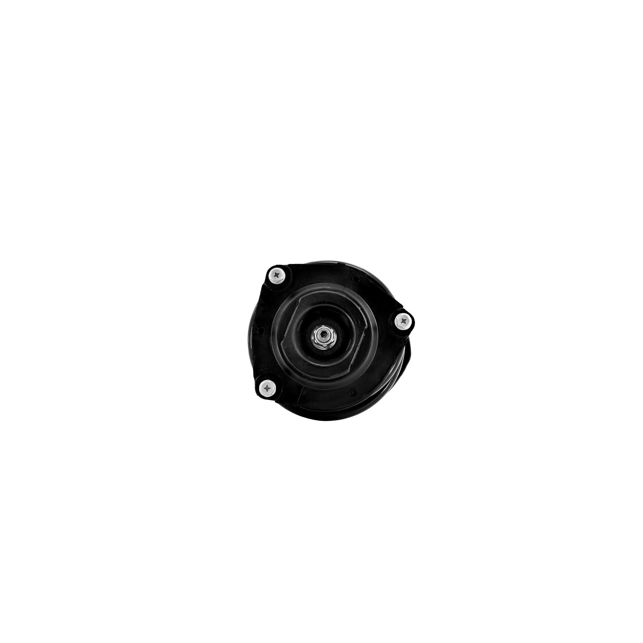 Suspension Strut and Coil Spring Assembly LS34-86641R