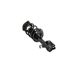 Suspension Strut and Coil Spring Assembly LS34-86641R